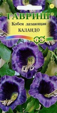 Кобея лазающая Каландо (гавриш) 5 шт Кобея лазающая Каландо (гавриш) 5 шт