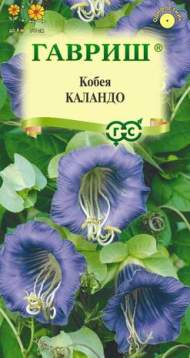 Кобея лазающая Каландо (гавриш) 5 шт