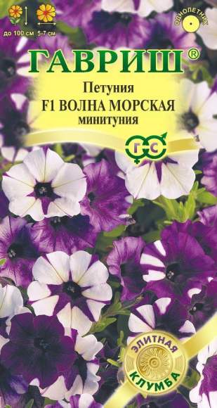 Петуния суперкаскадная Волна морская F1 минитуния (гавриш) 4 шт