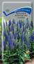Вероника колосистая Голубая (поиск) 0,1гр  – купить в г. Москва