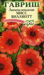 Лапчатка Мисс Вильмотт (гавриш) 0,01 гр