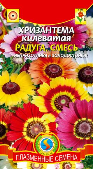 Хризантема килеватая Радуга смесь (плазмас) 0,5гр 