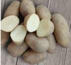 Картофель Варяг (упаковка 2кг+-10%) 