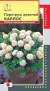 Пиретрум девичий Карлос (плазмас) 10шт  – купить в г. Москва