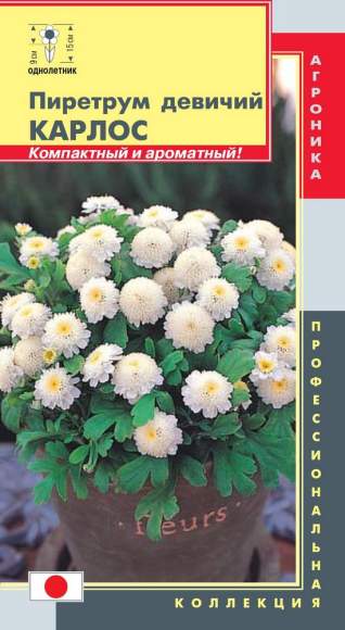 Пиретрум девичий Карлос (плазмас) 10шт 