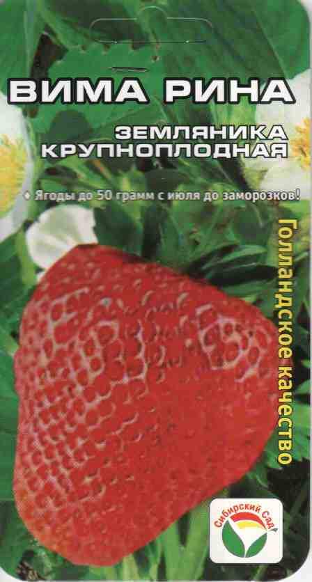 Купить Клубника Вима рина (сс) от
