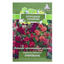 Кларкия изящная Очарование (поиск) 0,2г