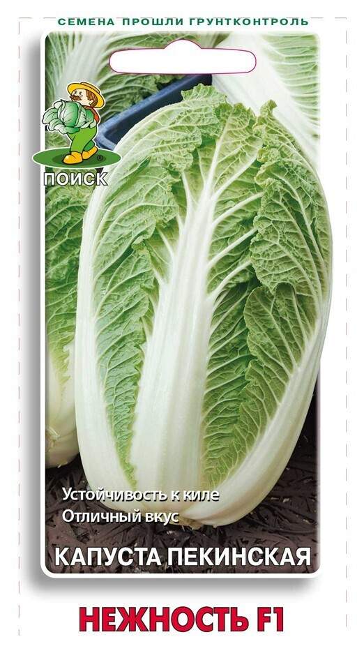 Семена Пекинской Капусты Купить В Москве