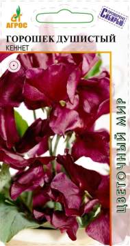 Душистый горошек Кеннет (агрос) 1,0гр Душистый горошек Кеннет (агрос) 1,0гр