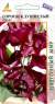 Душистый горошек Кеннет (агрос) 1,0гр  – купить в г. Москва