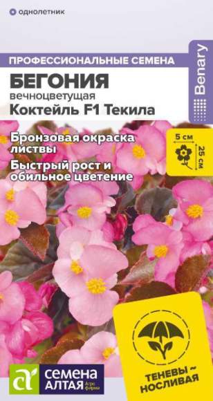 Бегония вечноцветущая Коктейль Текила F1 (семена Алтая) 5 шт  – купить в г. Москва