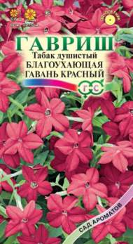 Душистый декоративный табак Благоухающая гавань красный F1 (гавриш) 4шт Душистый декоративный табак Благоухающая гавань красный F1 (гавриш) 4шт