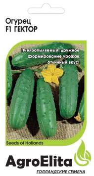 Огурец Гектор F1 (агроэлита) 10шт (nunhems) Огурец Гектор F1 (агроэлита) 10шт (nunhems)