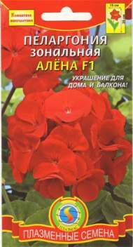 Пеларгония Алена (п) Пеларгония Алена (п)
