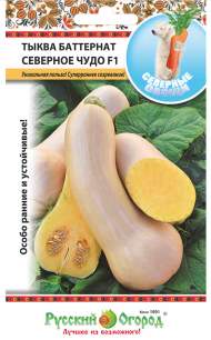 Тыква баттернат Северное чудо F1 (нк) 5шт