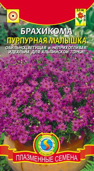 Брахикома Пурпурная малышка (плазмас) 0,05гр