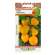 Томат Чудо Света (нк) 0,1гр – купить в г. Москва Томат Чудо Света (нк) 0,1гр – купить в г. Москва