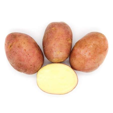 Картофель скарлет характеристика и описание