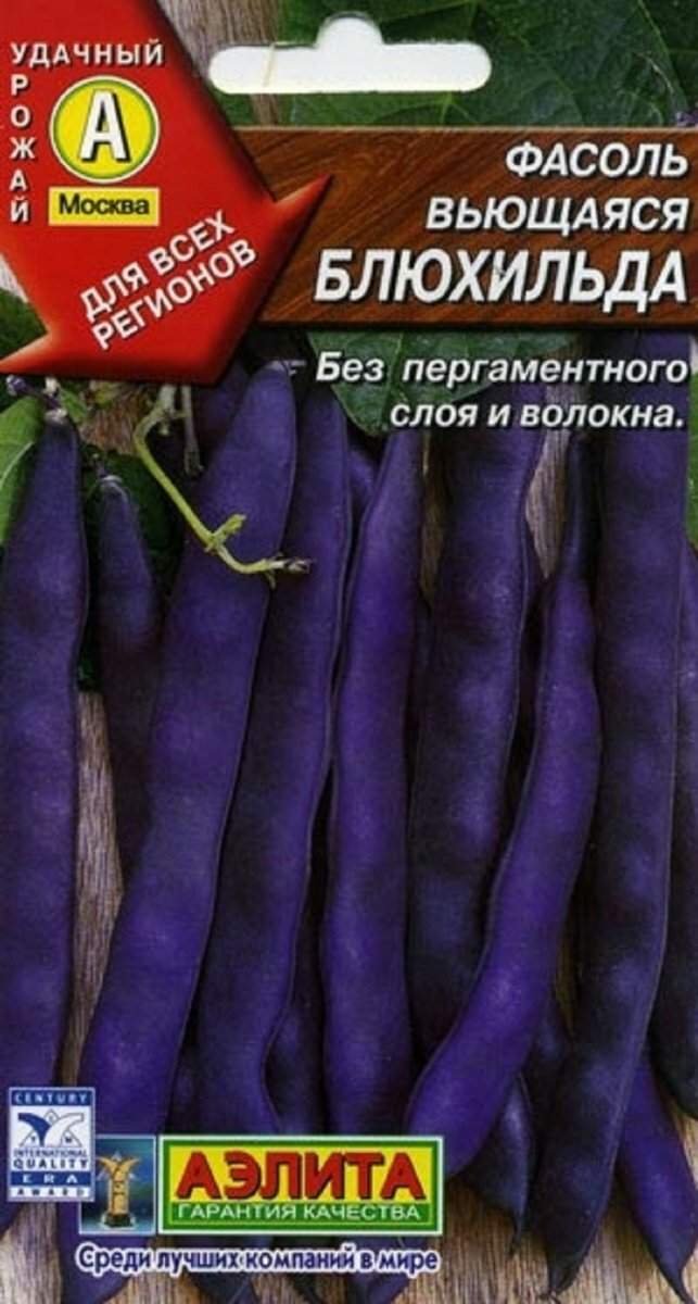 Фасоль блюхильда фото