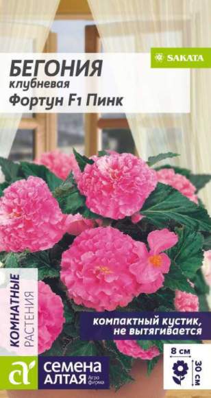 Бегония клубневая Фортун Пинк F1 (семена Алтая) 4 шт  – купить в г. Москва