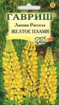 Люпин Желтое пламя (гавриш) 0,5гр Люпин Желтое пламя (гавриш) 0,5гр