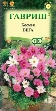 Космея Вега карликовая (гавриш) 0,5 гр