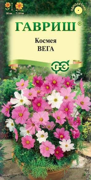 Космея Вега карликовая (гавриш) 0,5 гр – купить в г. Москва Космея Вега карликовая (гавриш) 0,5 гр – купить в г. Москва