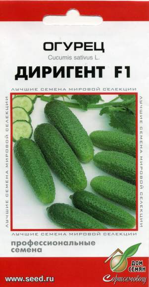 Огурец Диригент F1 (дом семян) 6 шт  – купить в г. Москва