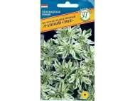 Молочай Ранний снег (престиж) 10 шт