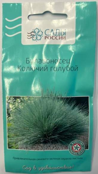 Булавоносец Колючий голубой (сады России) 3шт  – купить в г. Москва