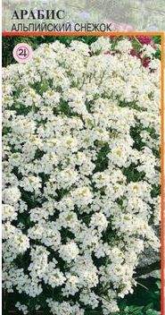 Арабис Альпийский снежок (евро семена) 0,1гр Арабис Альпийский снежок (евро семена) 0,1гр