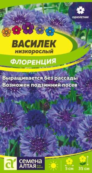 Василек Флоренция низкорослый (семена Алтая) 0,2 гр однолетник  – купить в г. Москва