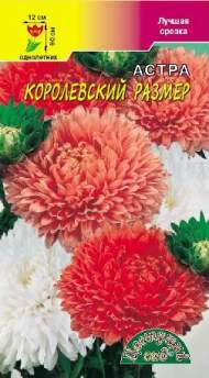 Астра Королевский размер смесь (цветущий сад) 0,1гр Астра Королевский размер смесь (цветущий сад) 0,1гр