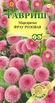 Маргаритка Фрау розовая (гавриш) 4шт