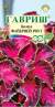 Колеус Файервей роуз (гавриш) 4 шт  – купить в г. Москва