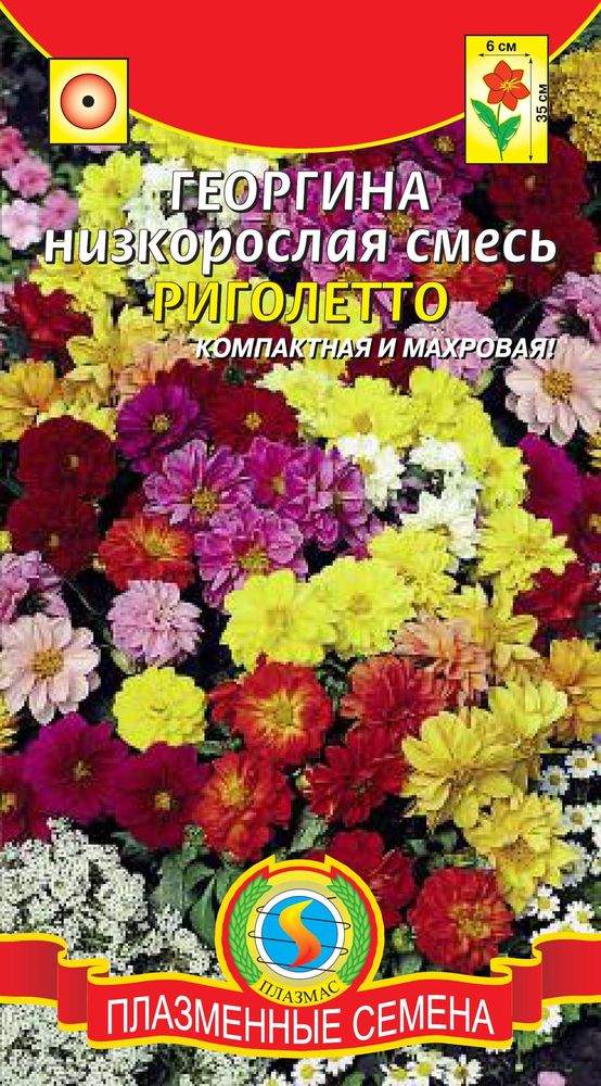 Купить Семена Низкорослых Цветов