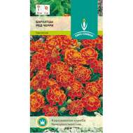 Бархатцы Ред черри (евро семена) 0,3гр Бархатцы Ред черри (евро семена) 0,3гр