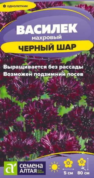 Василек махровый Черный шар (семена Алтая) 0,3 гр однолетник  – купить в г. Москва