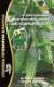 Огурец Само совершенство F1 (уд) 5шт  – купить в г. Москва