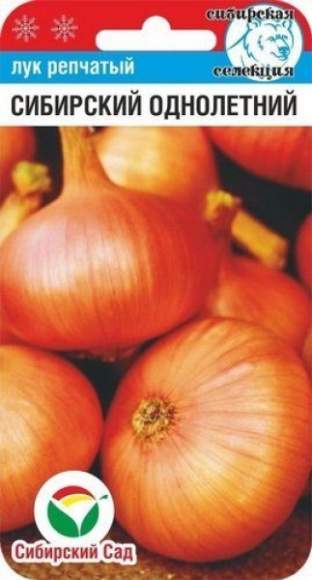 Лук репчатый Сибирский однолетний (сибирский сад) 1,0 гр  – купить в г. Москва