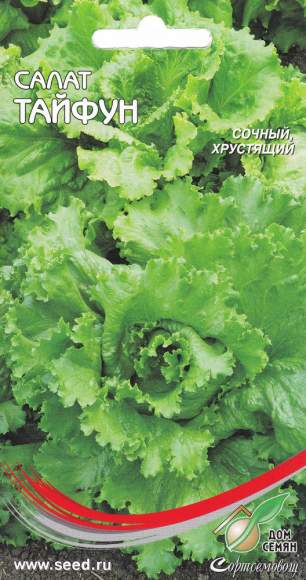 Салат листовой Тайфун (дом семян) 440 шт  – купить в г. Москва