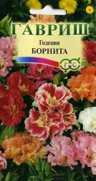 Годеция Борнита (гавриш) 0,05гр Годеция Борнита (гавриш) 0,05гр