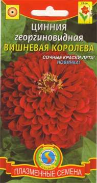 Цинния Вишневая королева (плазмас) 0,3гр