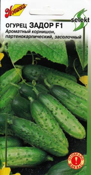 Огурец Задор F1 (дом семян) 10 шт  – купить в г. Москва