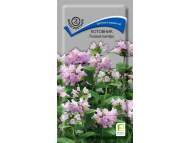 Котовник Розовая пантера (поиск) 10шт