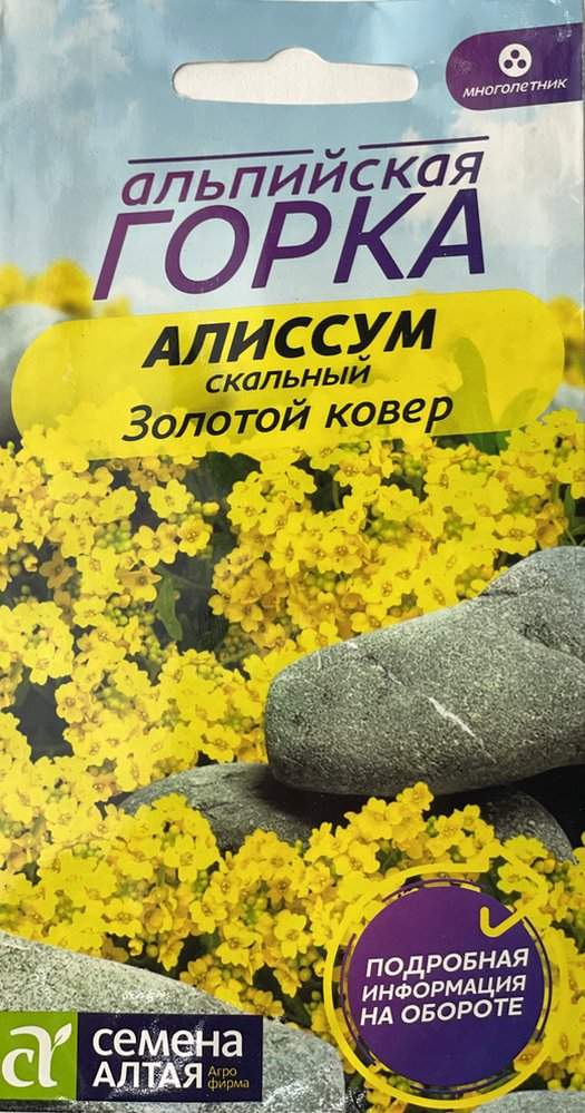 Семена Алиссума Купить В Интернет Магазине