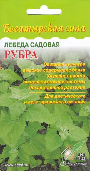 Лебеда Рубра (дс) 20шт 