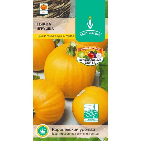 Тыква Игрушка (евро семена) 10шт 
