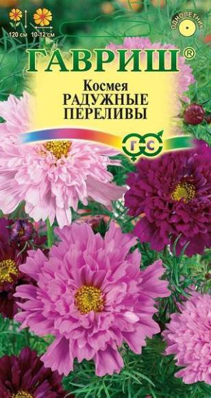 Космея Радужные переливы (гавриш) 0,1 гр  – купить в г. Москва