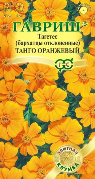 Бархатцы Танго оранжевый (гавриш) 7 шт